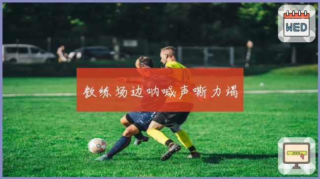 教练场边呐喊声嘶力竭