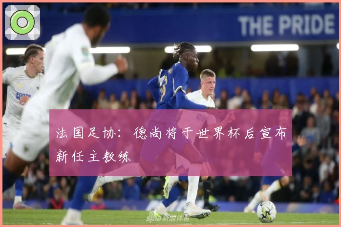 法国足协：德尚将于世界杯后宣布新任主教练