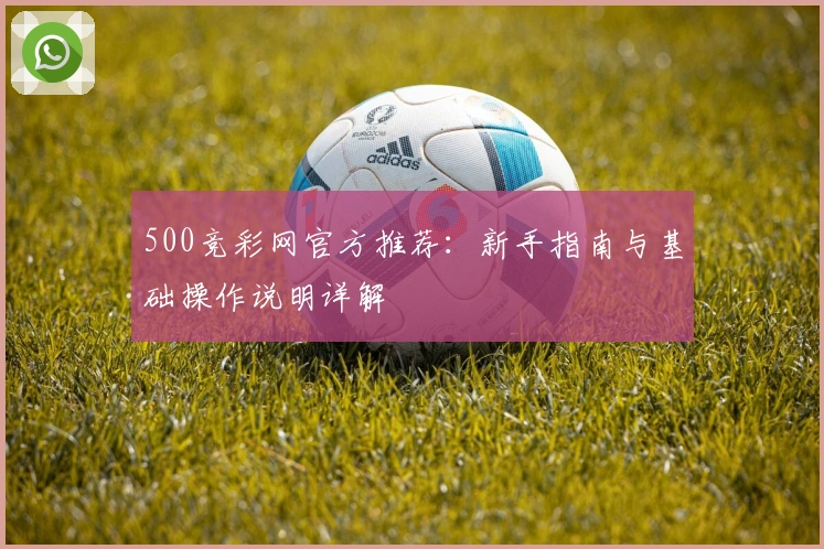 500竞彩网官方推荐：新手指南与基础操作说明详解